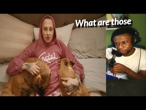 TRL Reaction / CHŁOPIEC -  Where You Are #americanreaction #reaction #poland