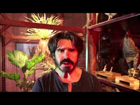 Koen Vanmechelen's speech introduction at STIMAC2013