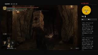 XSinnosukeXがPS4からブロードキャスト