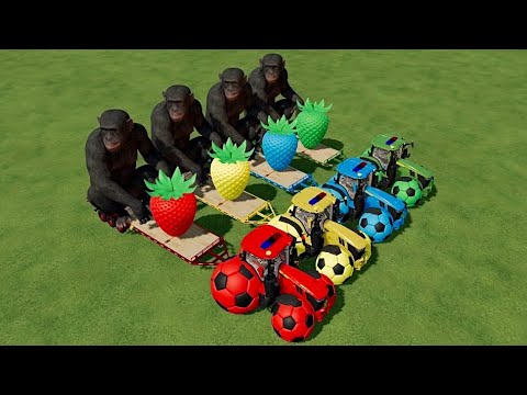 TRANSPORTING MONKEY & GİANT STRAWBERRY WİTH COLORED BALL WHEELS POLİCE TRACTORS ! Farming Simulator