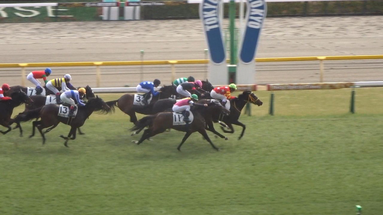 【衝撃再始動】グリオンヴール半年ぶり出走！札幌新馬戦を圧勝した怪物が東京1400mで真価を問う