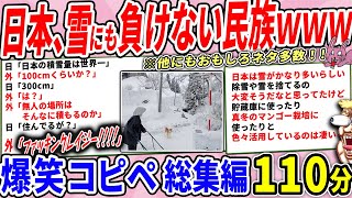 日本、豪雪でもただでは起きないスーパー民族だったｗｗ