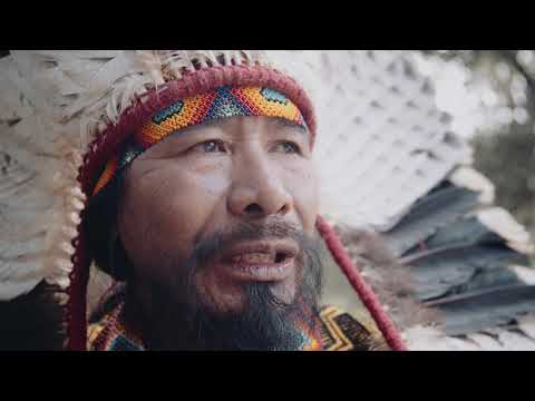 Txanã Ixã - Ninguém tem dono