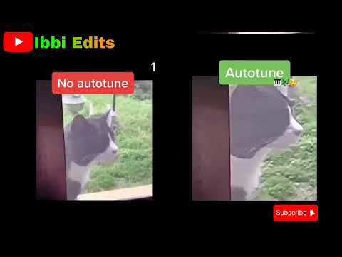 The wha wha cat 😺 | Original vs Edited🥺 | Emotional Cat 🥺 #sad #emotional_whatsapp_status