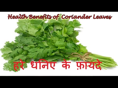 Health Benefits of Coriander Leaves