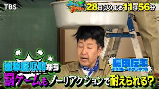 罰ゲームもノーリアクションで耐えられる!? 衝撃吸収材で実験!『ネイチャーティーチャー』7/28(火)【TBS】