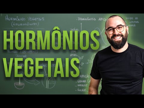Hormônios vegetais - Módulo 5: Botânica