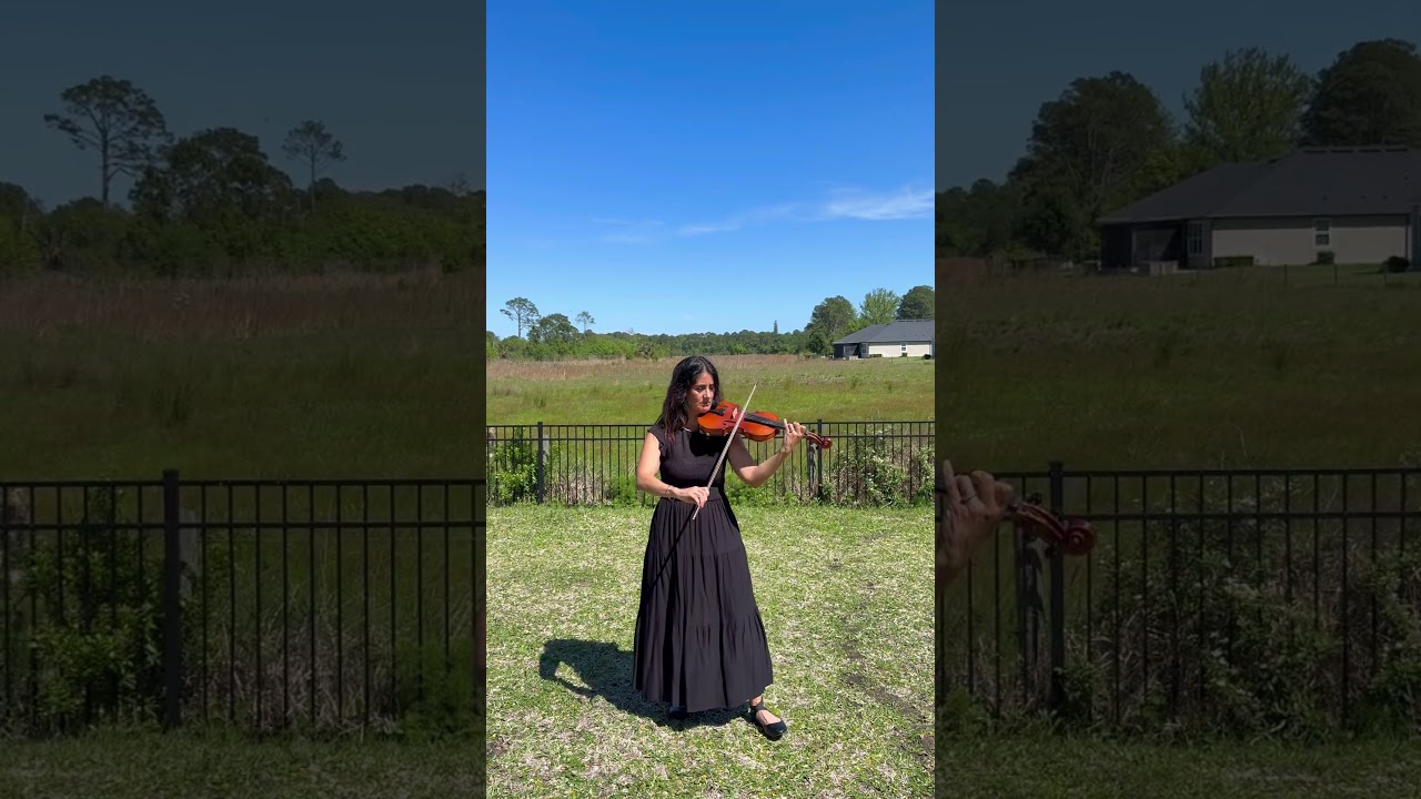 Promotional video thumbnail 1 for One Note at a Time Violinist