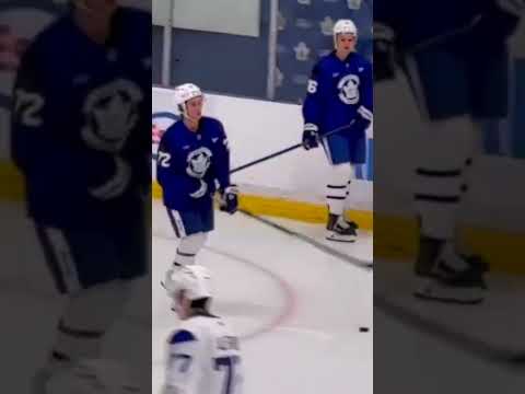 Jeff The Leafs Fan video artwork