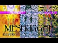 MESHUGGAH - SUFFER IN TRUTH