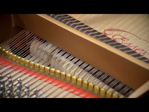 Steinway ESSEX Piano Features 2016