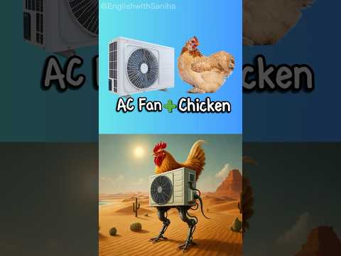 Italian Brainrot Tirilikalika Tirilikalako Literal Vs Reality Compound Words