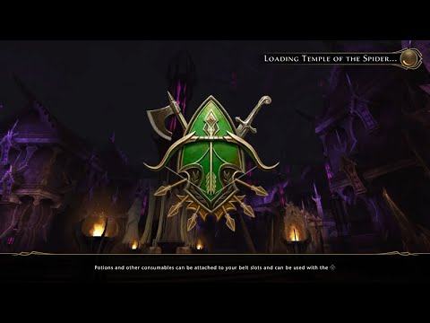 Neverwinter Mod 24 - Temple of the Spider - Hunter Ranger