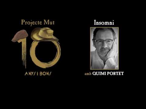 Projecte Mut - Insomni / amb Quimi Portet [Lyric Video]
