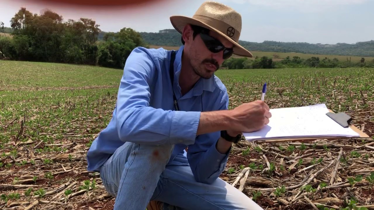 Cálculo da Avaliação de Qualidade do Plantio.