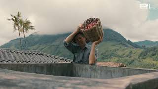 Global BioTrade Facilitation Programme: Linking trade, biodiversity and sustainable development