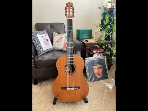 Dake Traphagen Classical Guitar 1992 Cedar/Honduran Rosewood image 13