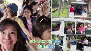 Thumbnail Video