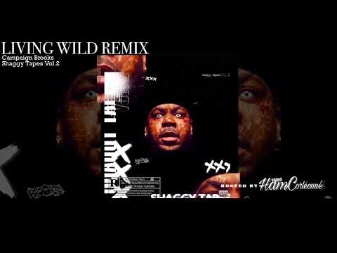 Campaign Brooks- Living Wild Remix