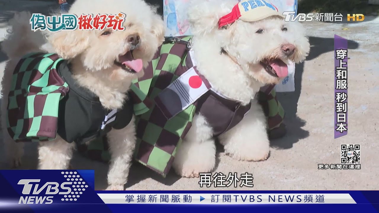 把寵物當小孩寵 帶著偽出國到歐洲、日本