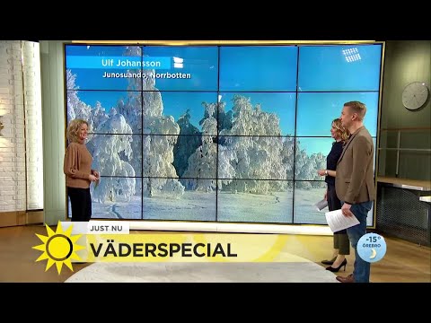 Här är vinetrn snart slut - Nyhetsmorgon (TV4)