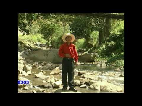 SERRANITO DEL ILUCAN FLOR DE AZUCENA