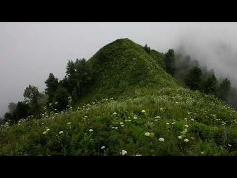 Deep in the Meadow- Jennifer Lawrence Lullaby (slowed down)