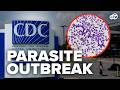 CDC Warns Of Cyclosporiasis Parasite Outbreak Spreading Across US