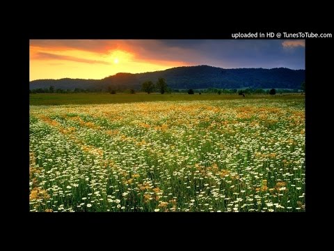 DYAMANTYS DUET  KALLU CU IONUT DE LA SEVERIN .COLAJ 22 MIN