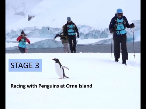 Stage 3 Running with Penguins at The Last Desert Antarctica