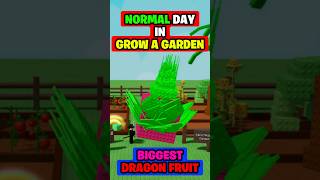 Normal Day in Grow a Garden Roblox🍅😂 #roblox #robloxshorts #growagarden