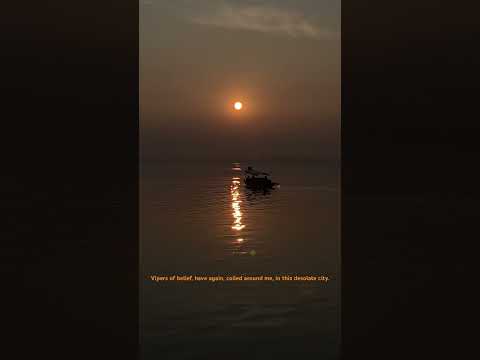 This song has my heart.                            #kashmir #kashmiri #daliyvlog #dallake