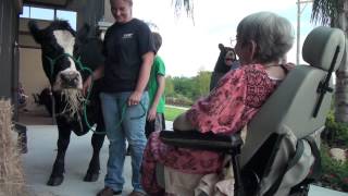 Corn Festival Tavares 2013