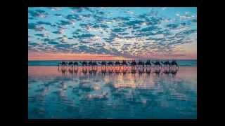 Tinariwen & Kiran Ahluwalia----Mustt Mustt