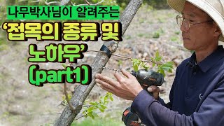 [나무 박사님 이야기] 조원동 Chapter1 365일 가능한 접목법이 있다?? 놀랄만큼 다양하고 새로운 접…