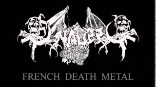 OSSUAIRE (Fra) Le Troubadour Necrophageophile (Death metal, old school, France)