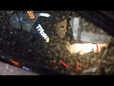 [FREE] Dante Rose, Whoisrune - Roses