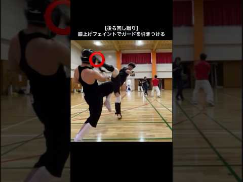 【後ろ廻し蹴り】膝上げフェイントでガードを引きつける　#後ろ回し蹴り #後ろ廻し蹴り #フェイント