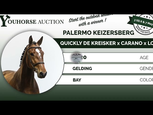 Palermo Keizersberg showvideo