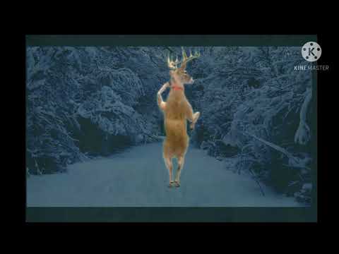 DANCING RENDIER | WITH JINGLE BELL MUSIC