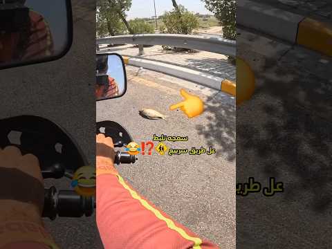 ‏#اكسبلور #تحشيش #pov #لايك #دويتو #love #العراق #shorts #ضحك #ولاية_بطيخ #ترند#كوميديا#بغداد#متابعه