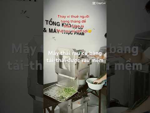 Máy thái băng tải-thái rau củ quả lát , sợi