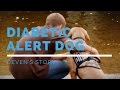 SDWR Diabetic Alert Dogs Deven S Story