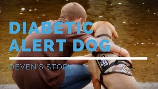 SDWR Diabetic Alert Dogs: Deven's Story