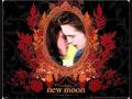 Twilight-New Moon-Almost a Kiss-Alexandre Desplat.wmv