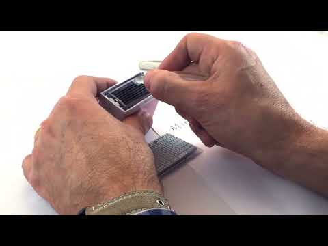 Como colocar letras en el sello abecedario Minestamp