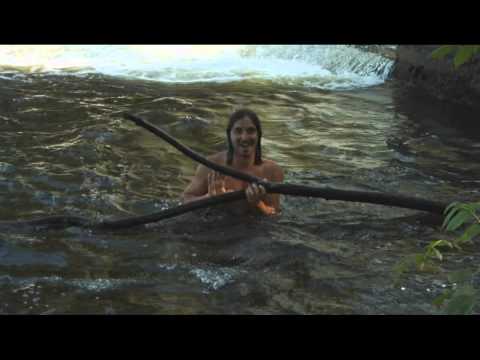 The Gun Under My Pillow - Sattelyte Wakeskates