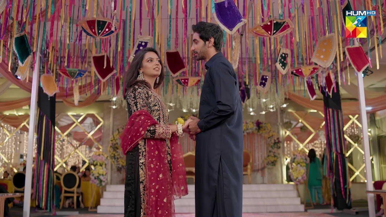 Romantic Hone Ki Zarurat Nahi Sub Dekh Rahy Hein..! #daamemohabbat - HUM TV