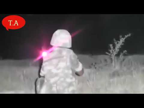 Qartalımın bir qanadı yaralanıb