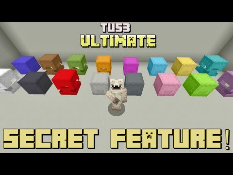 DanRobzProbz - Minecraft: Tu53 Ultimate Secret Feature!